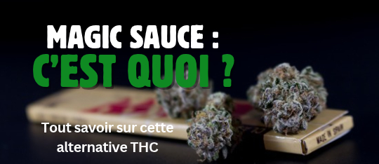 Magic sauce : c'est quoi ? Guide sur cette alternative THC